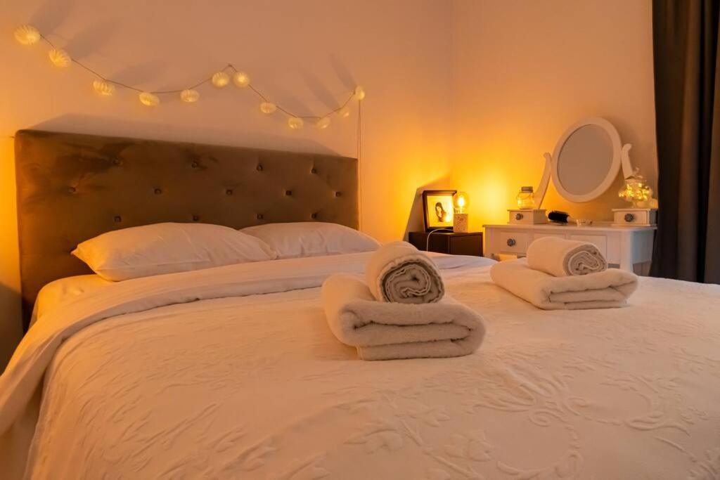 Arte - 2 Bedroom Apartment Near Coresi Mall With Free Parking ブラショフ エクステリア 写真